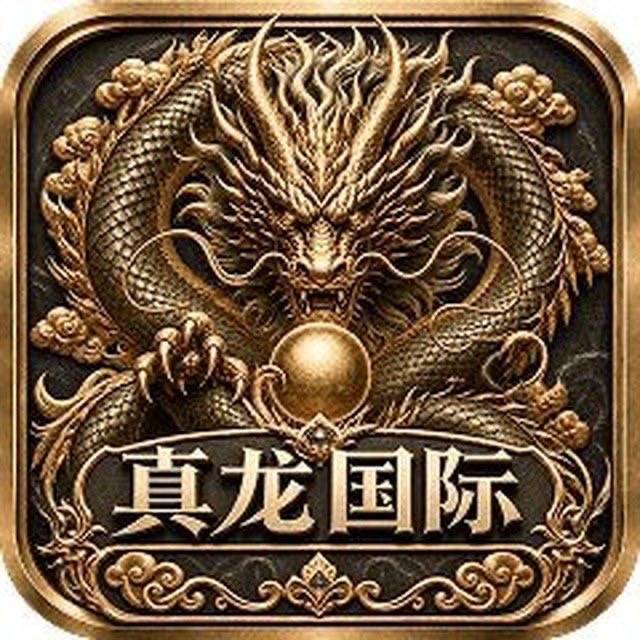 真龙国际